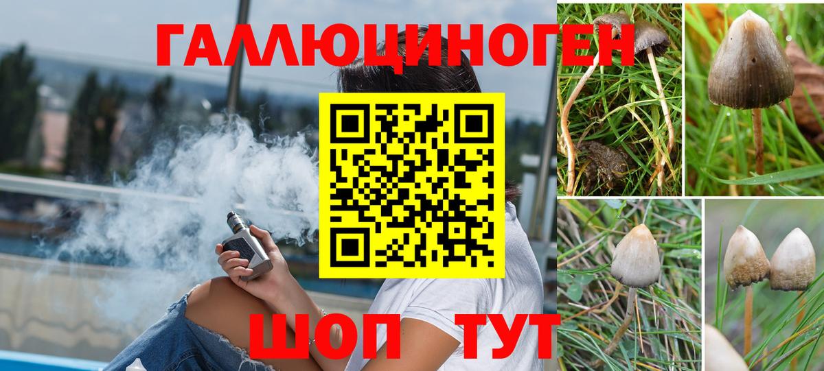 Псилоцибиновые грибы Psilocybine cubensis  Вход с VPN  Усть-Илимск 